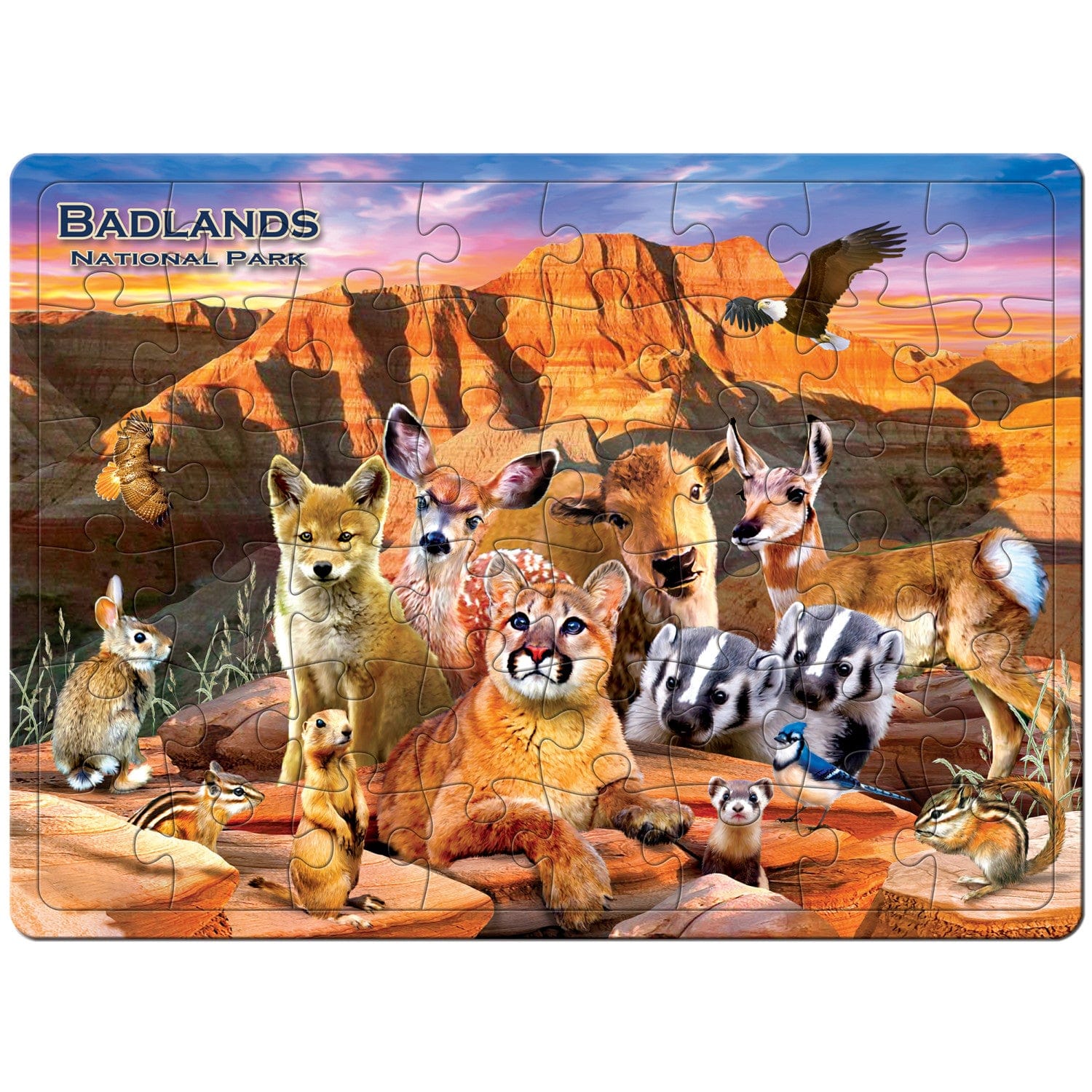 Badlands National Park 48 Piece Tray Puzzle - Image 2