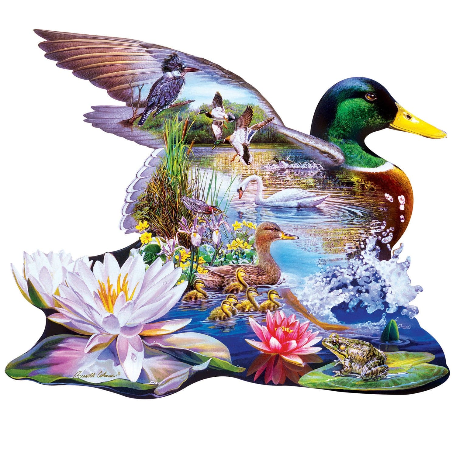 Shapes - Woodland Ducks 500 Piece Jigsaw Puzzle - Image 2