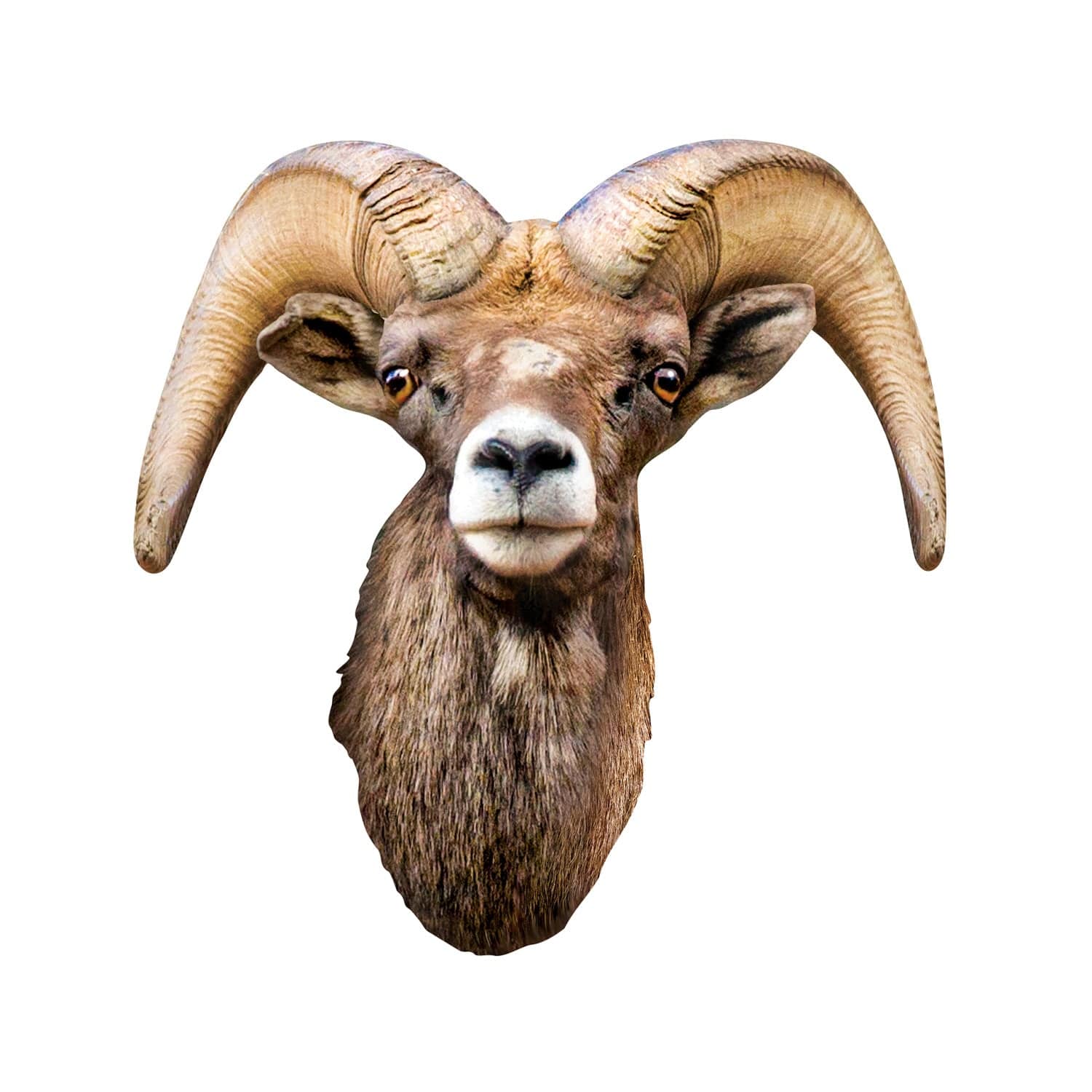 Desert Bighorn Sheep 100 Piece Shaped Jigsaw Puzzle - Image 2