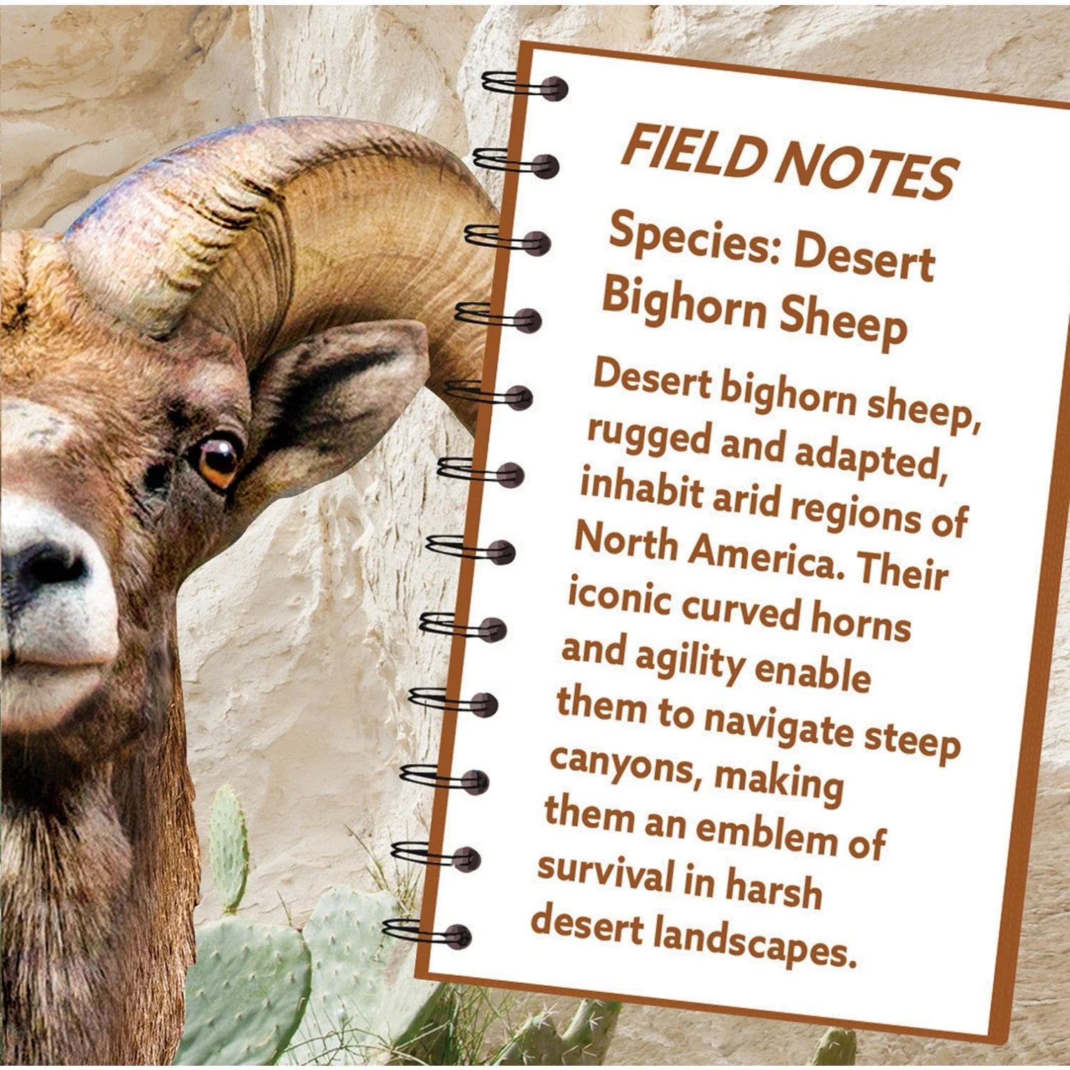 Desert Bighorn Sheep 100 Piece Shaped Jigsaw Puzzle - Image 3