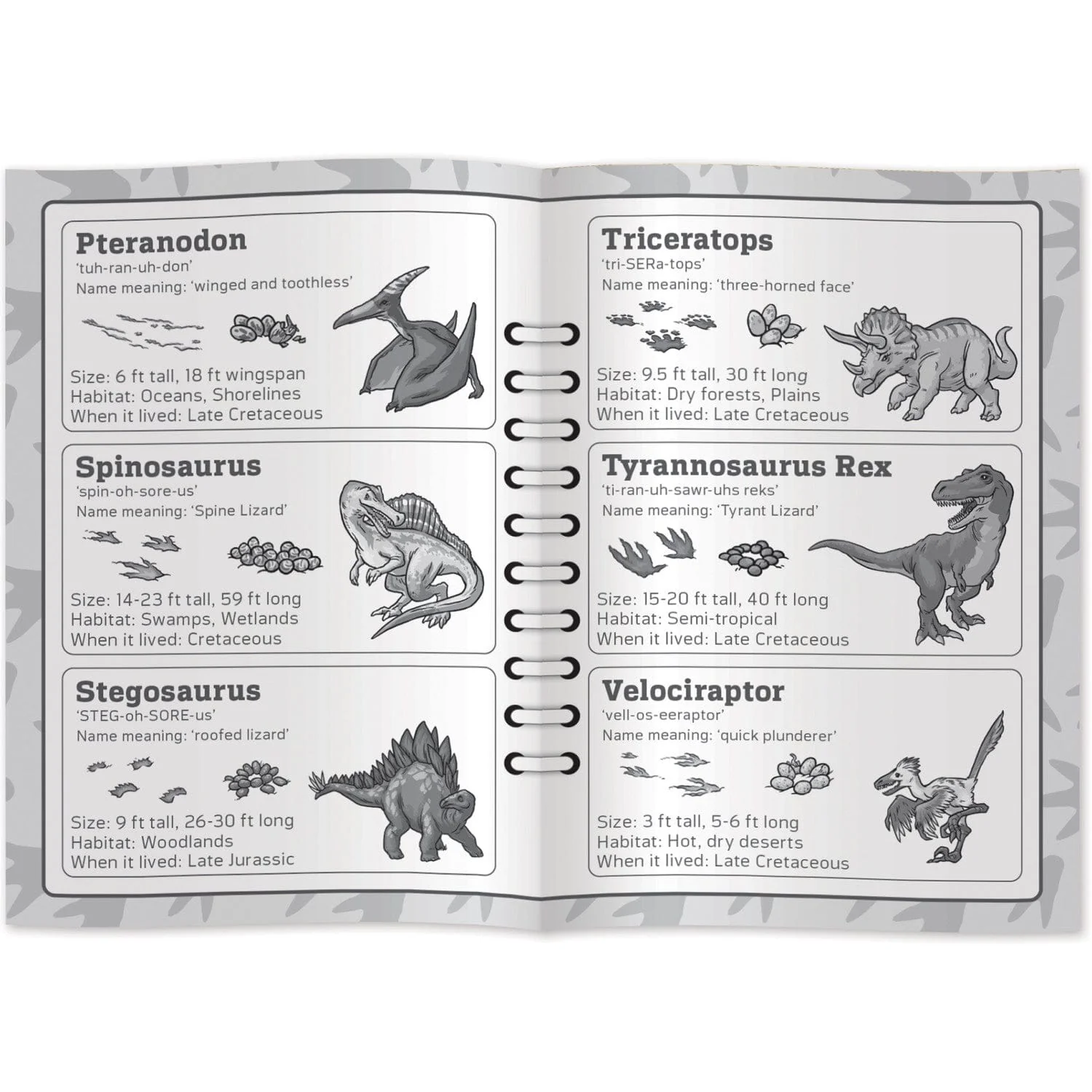 Dinosaur World Dino Tracks Card Game - Image 4