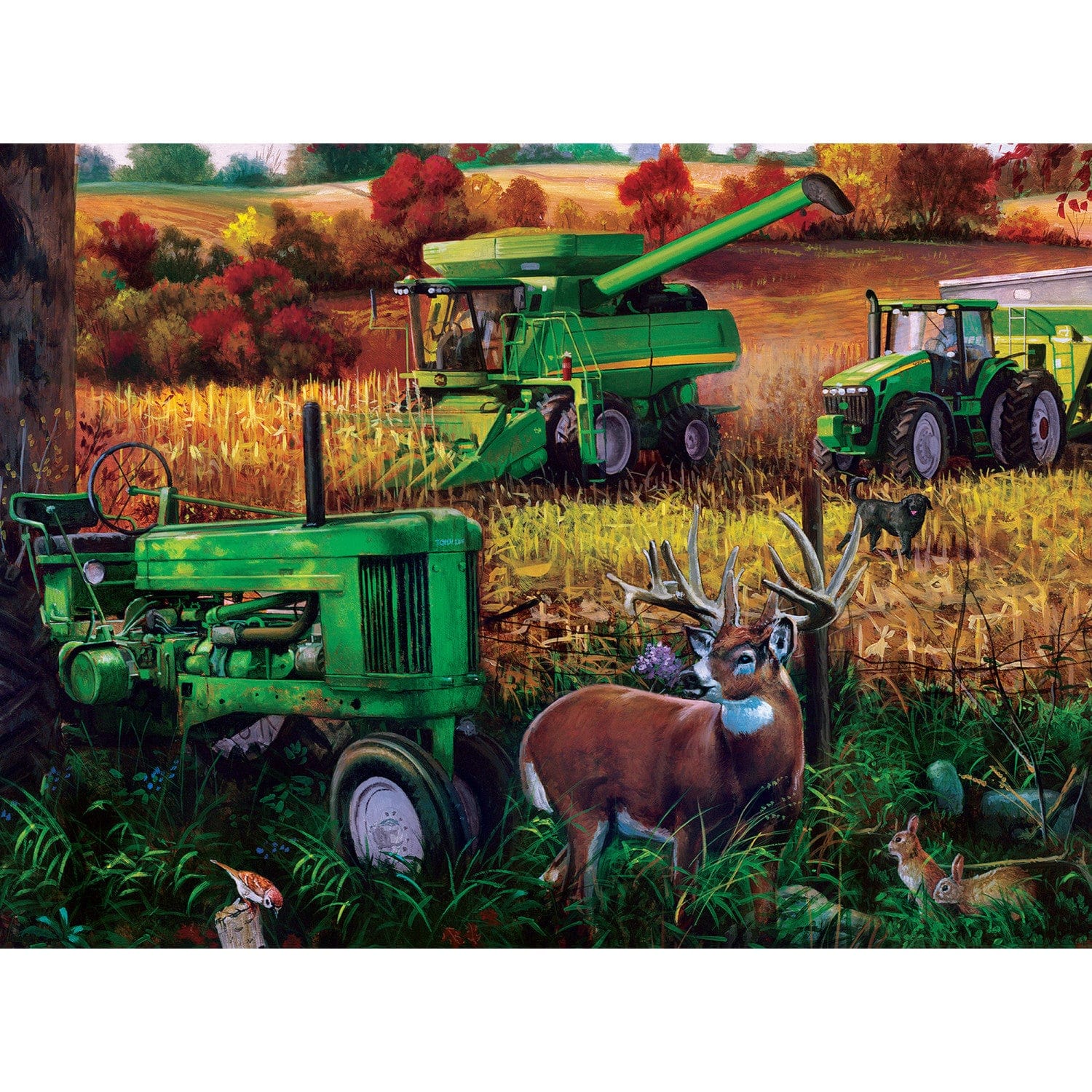 Farm & Country - 500 Piece Jigsaw Puzzles 4 Pack - Image 6