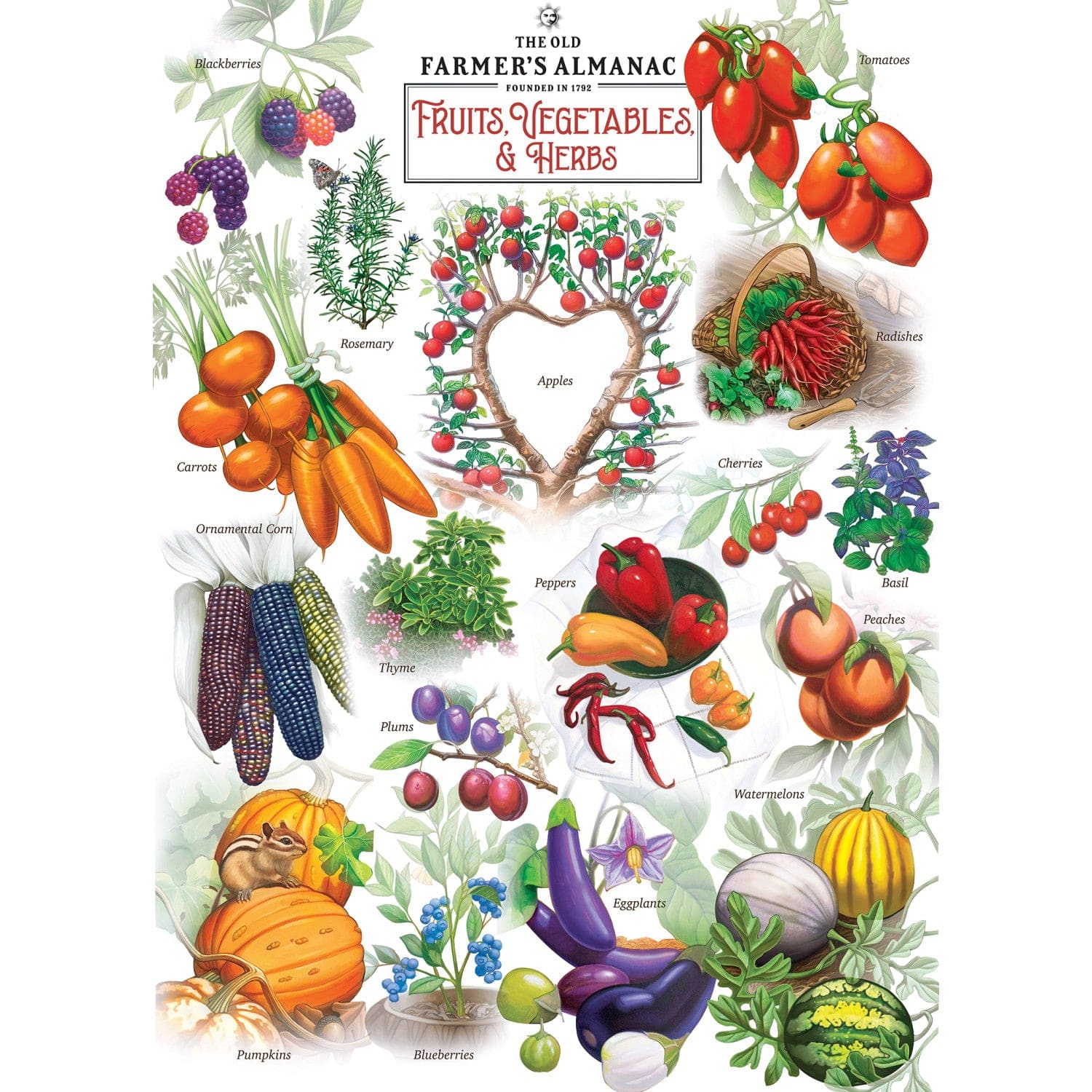 Farmer's Almanac - Fruits, Vegetables, & Herbs 1000 Piece Jigsaw Puzzle - Image 2