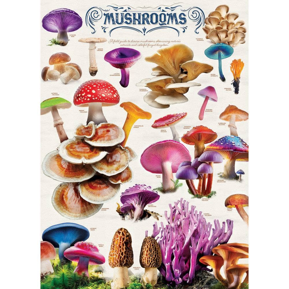 Field Guide - Mushrooms 1000 Piece Jigsaw Puzzle - Image 2