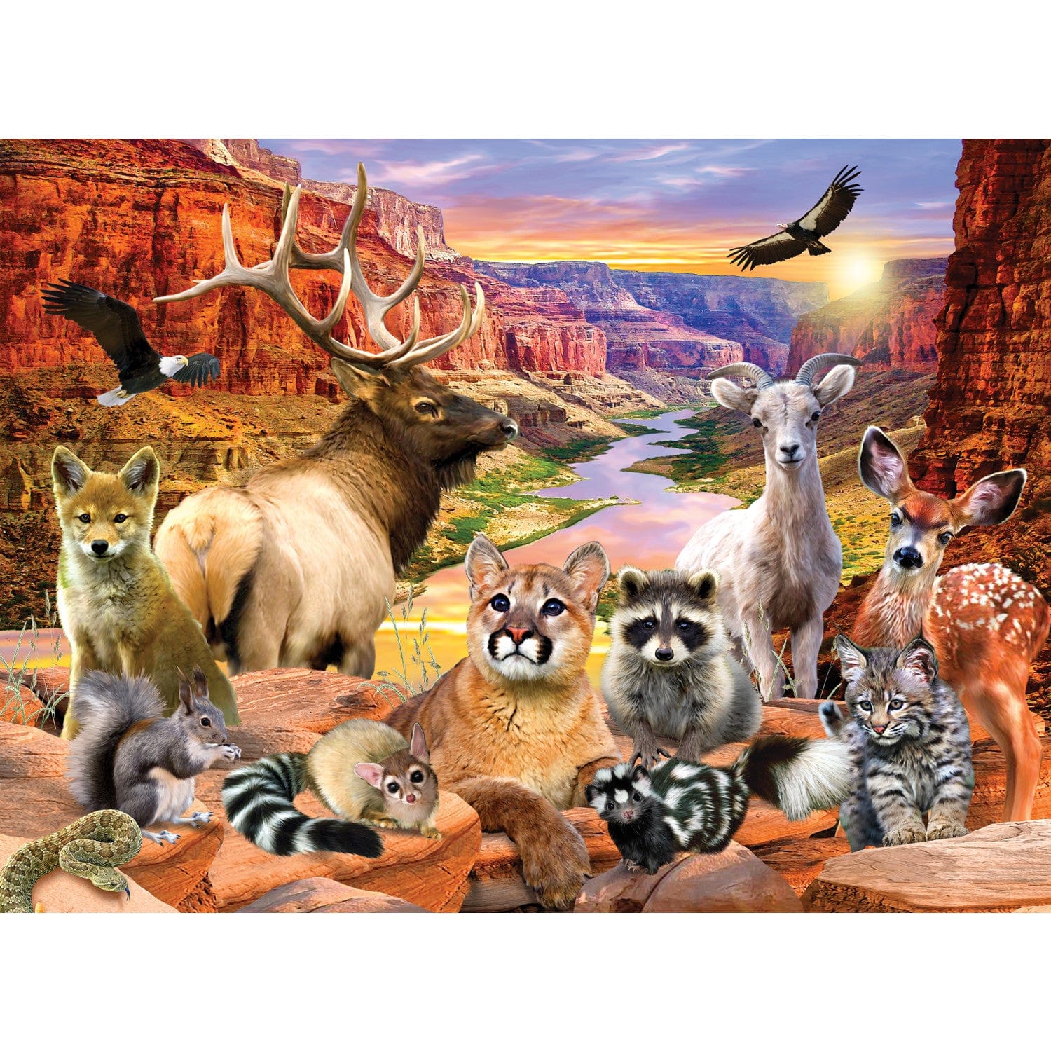 Wildlife of Grand Canyon National Park - 100 Piece Jigsaw Puzzle - Image 2