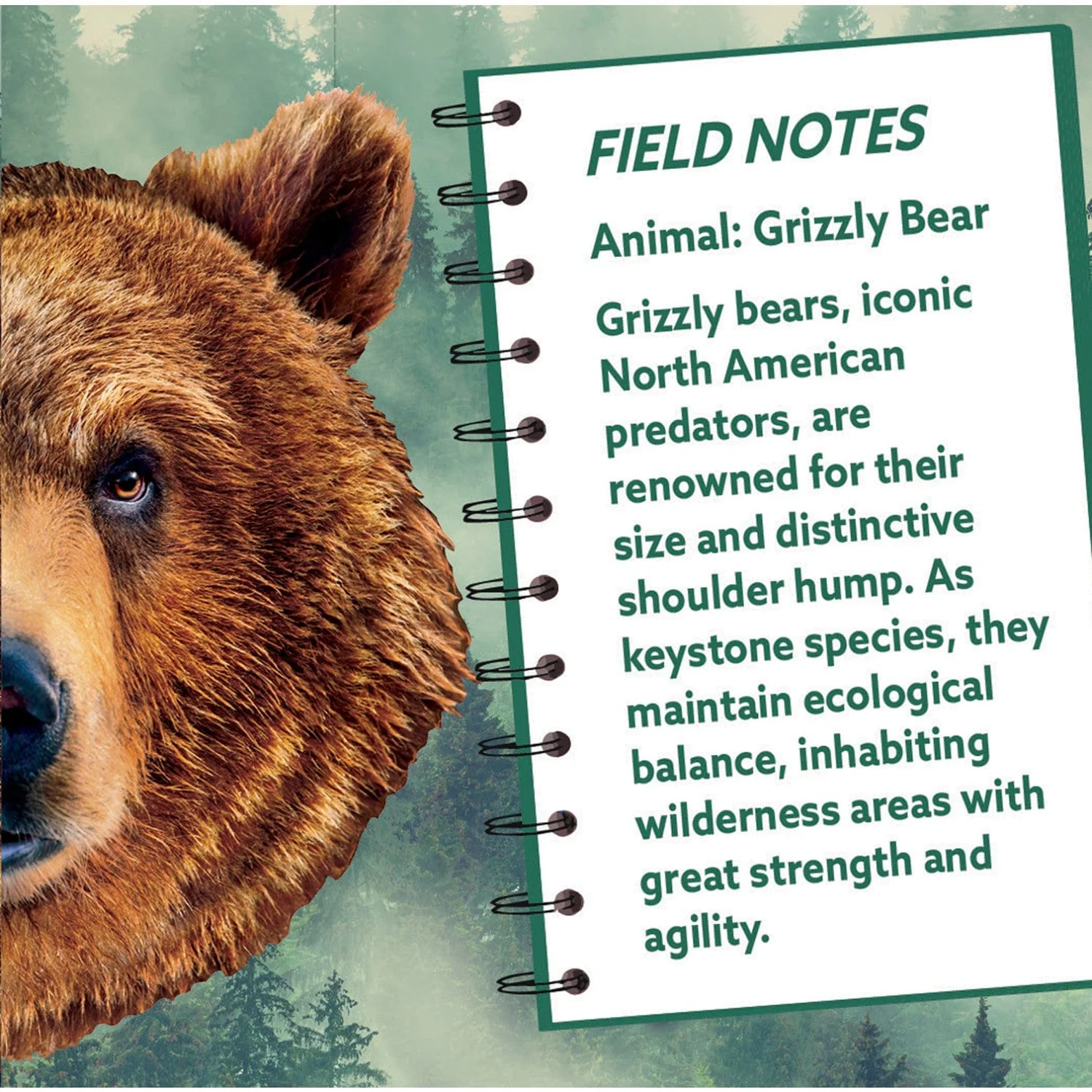 Grizzly Bear 100 Piece Shaped Jigsaw Puzzle - Image 3