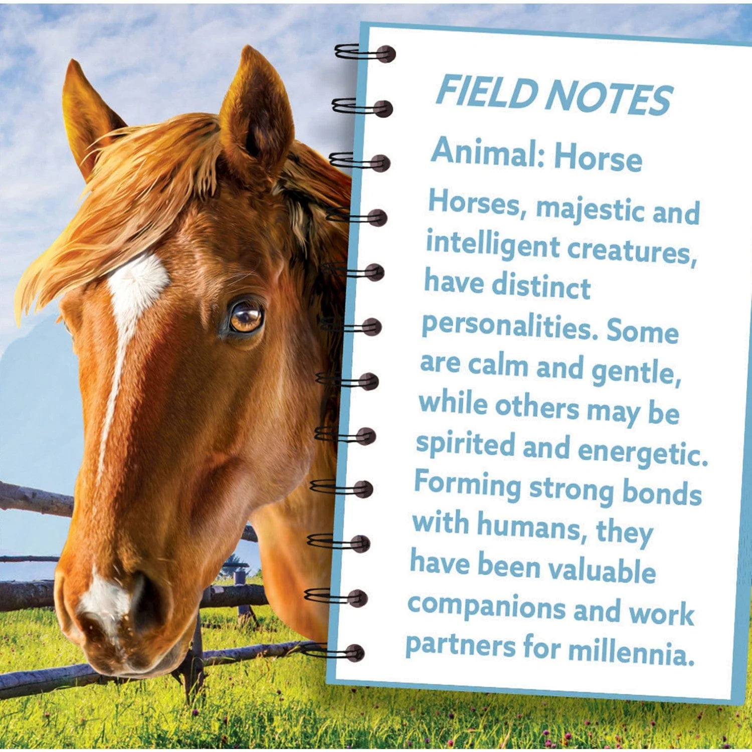 Horse 100 Piece Shaped Jigsaw Puzzle - Image 3