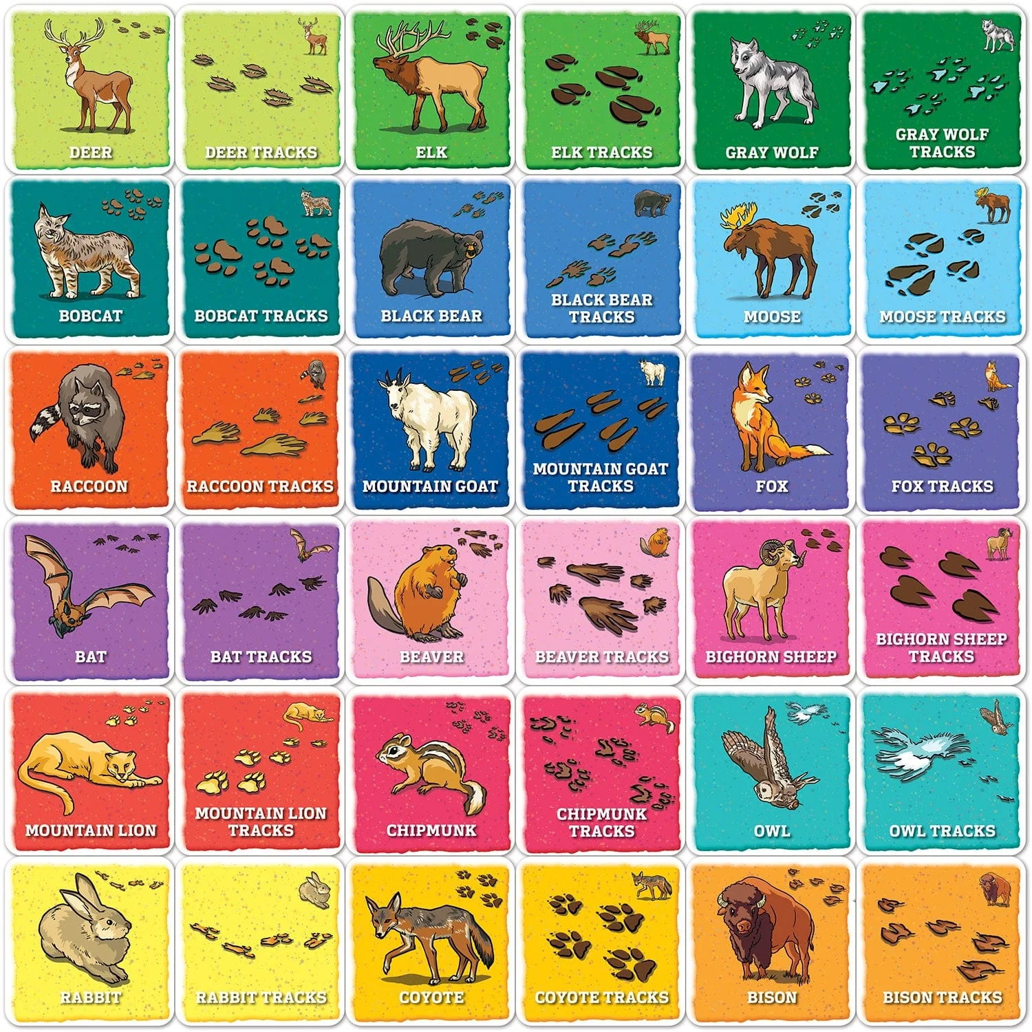 Jr Ranger - Animal Tracks Matching Game - Image 2