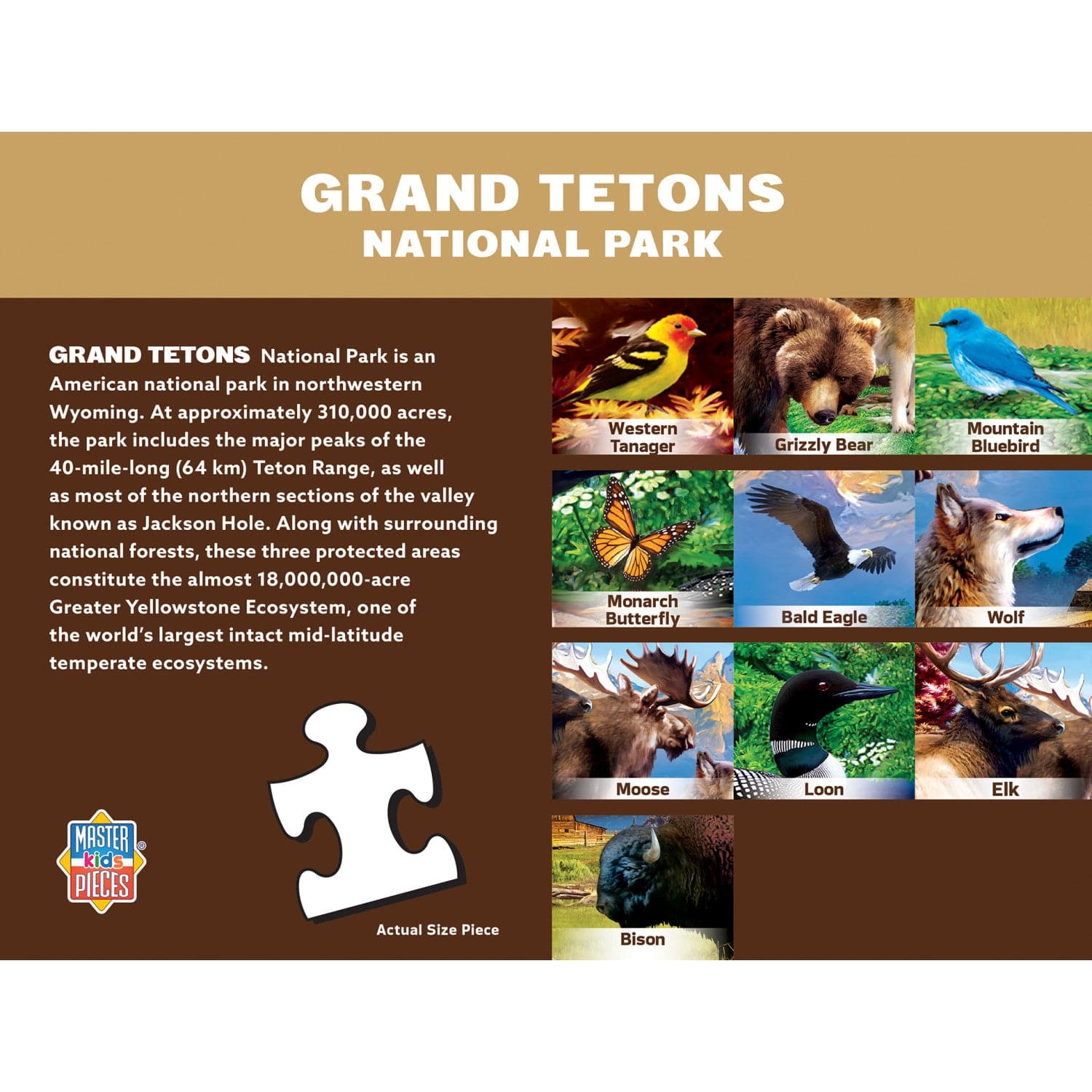 Wildlife of Grand Teton National Park - 100 Piece Jigsaw Puzzle - Image 3
