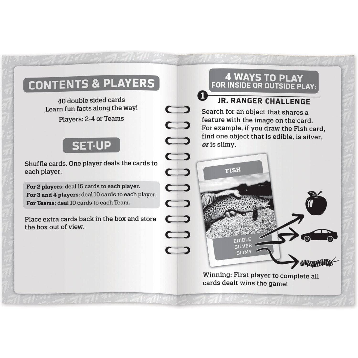 Jr Ranger - Scavenger Hunt Card Game - Image 4