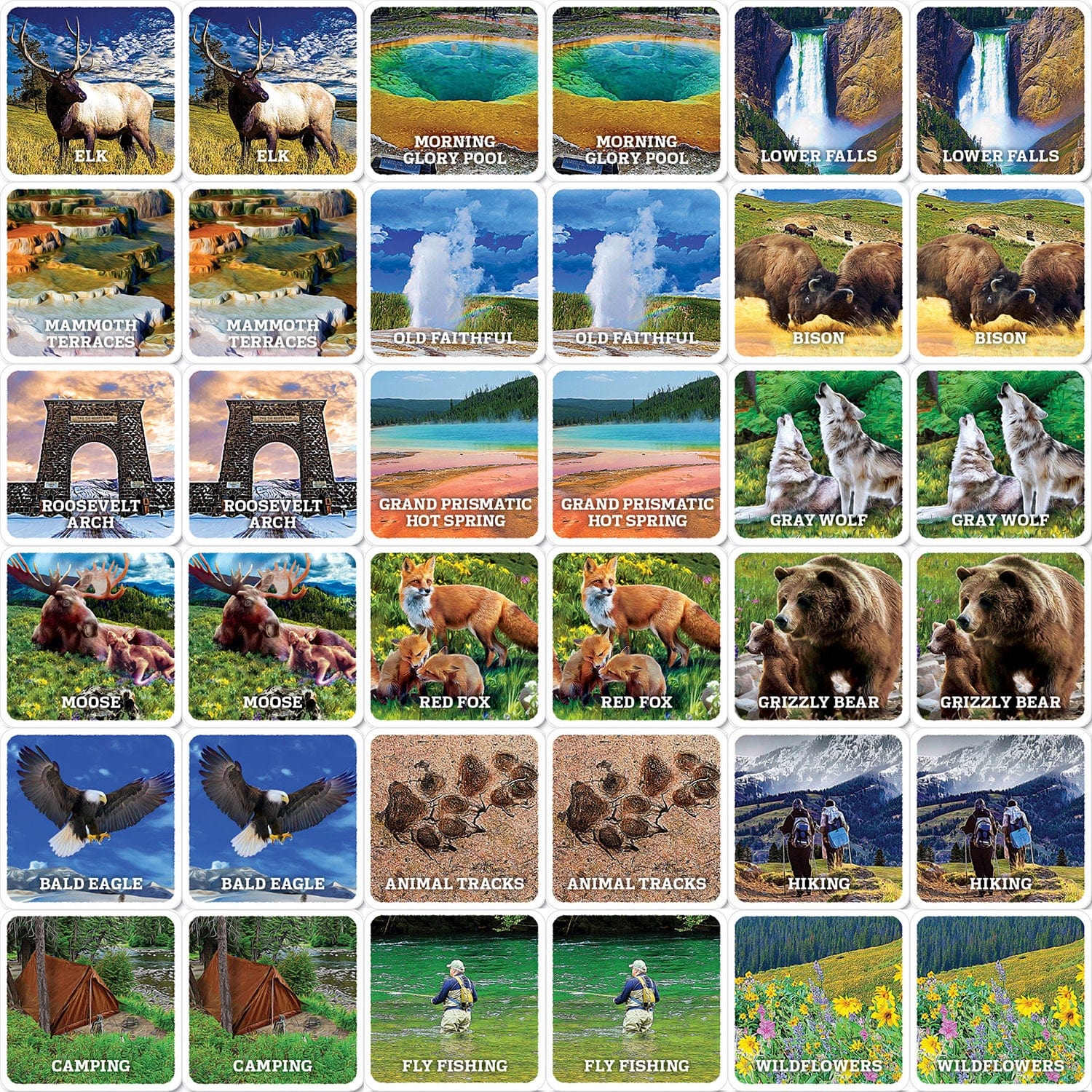 Jr. Ranger - Yellowstone Matching Game - Image 2