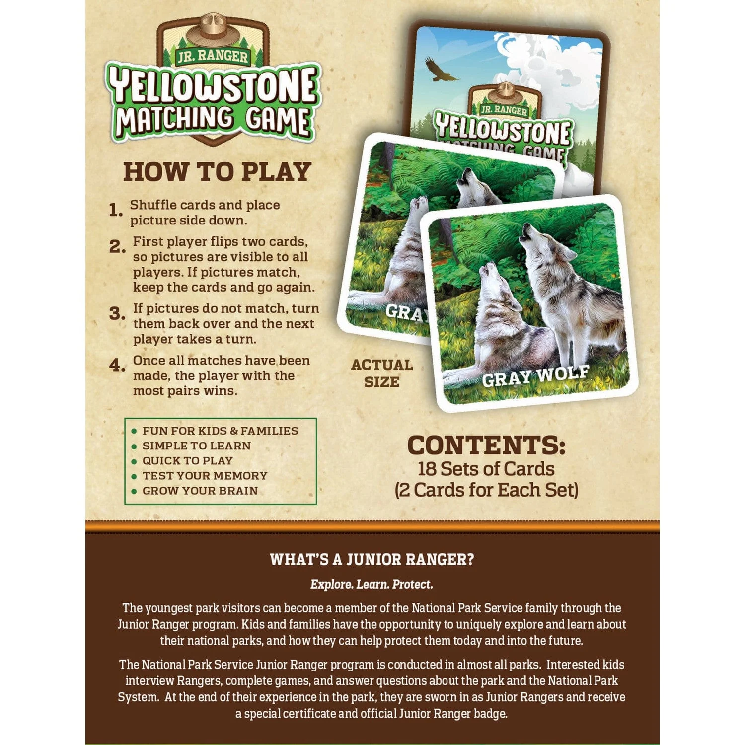 Jr. Ranger - Yellowstone Matching Game - Image 3