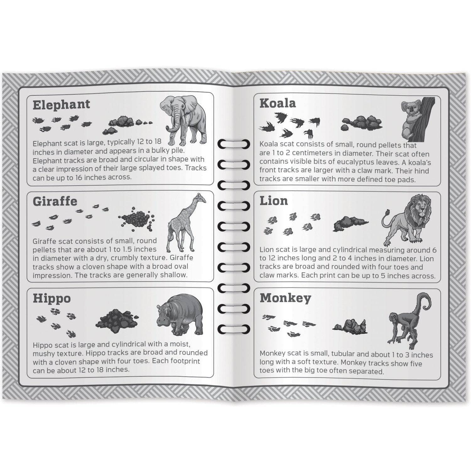 Jr. Zookeeper Poop Tracks Card Game - Image 4