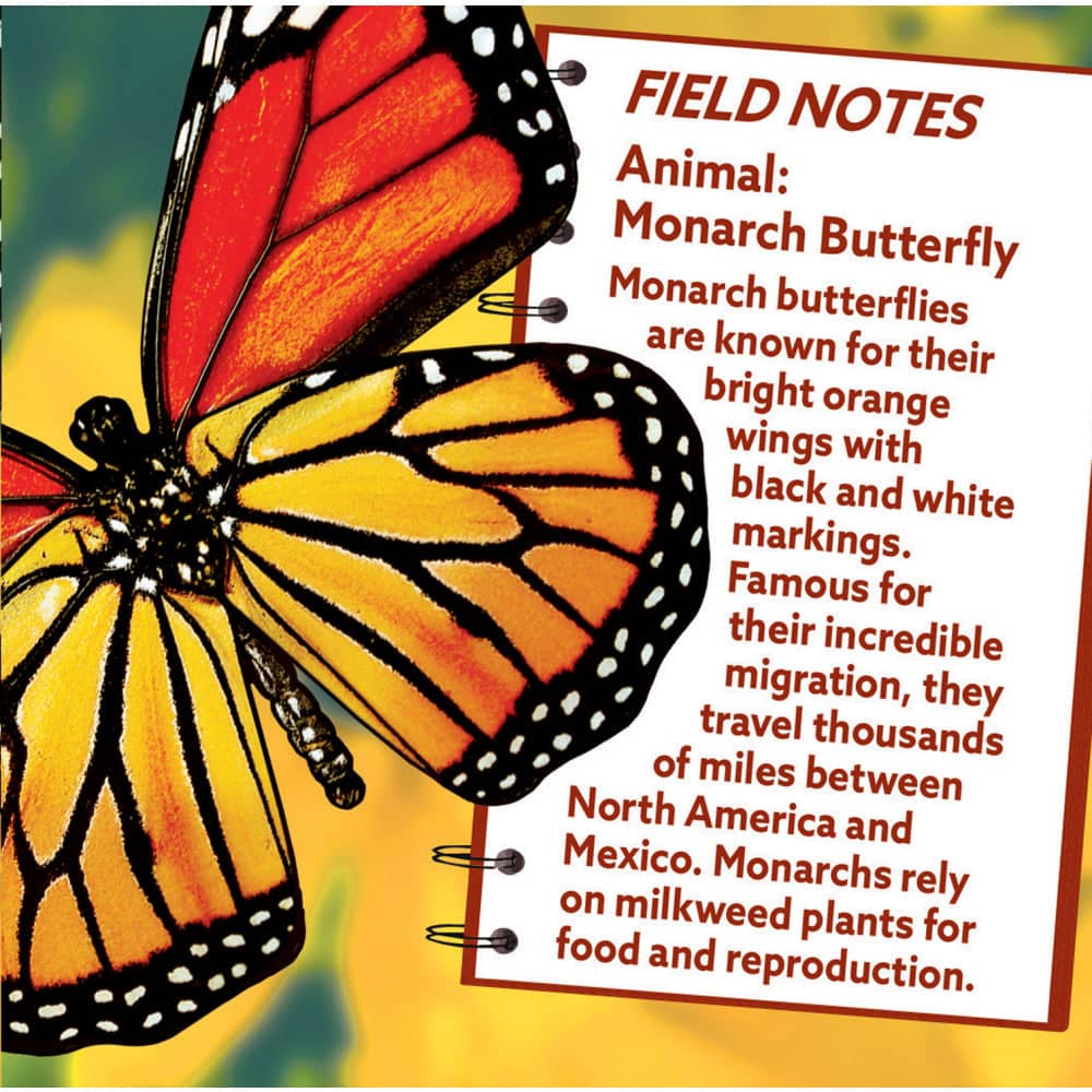 Monarch Butterfly 100 Piece Shaped Jigsaw Puzzle - Image 3