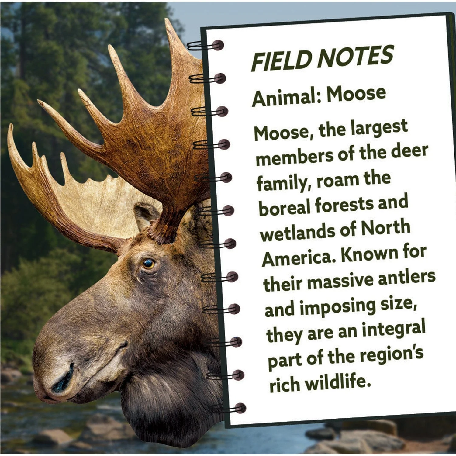 Moose 100 Piece Shaped Jigsaw Puzzle - Image 3