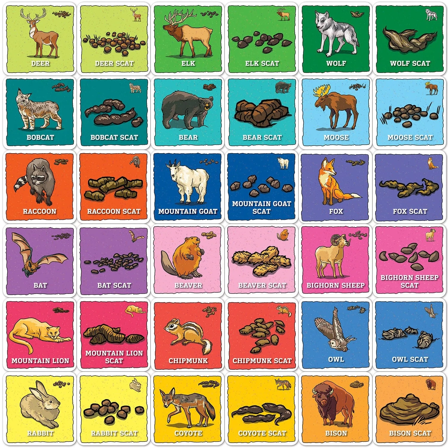 Jr. Ranger - Animal Poop Matching Game - Image 2