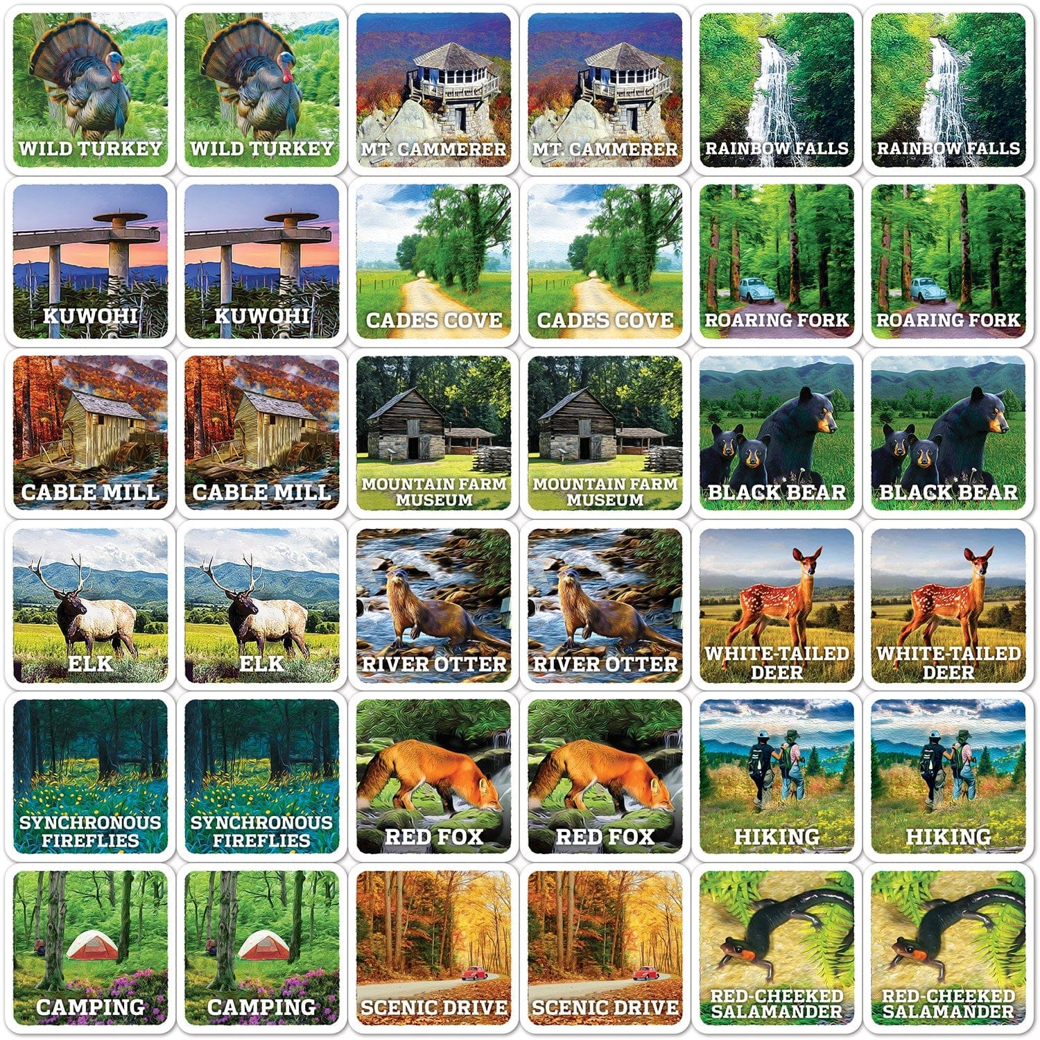 Jr. Ranger - Great Smoky Mountains Matching Game - Image 2