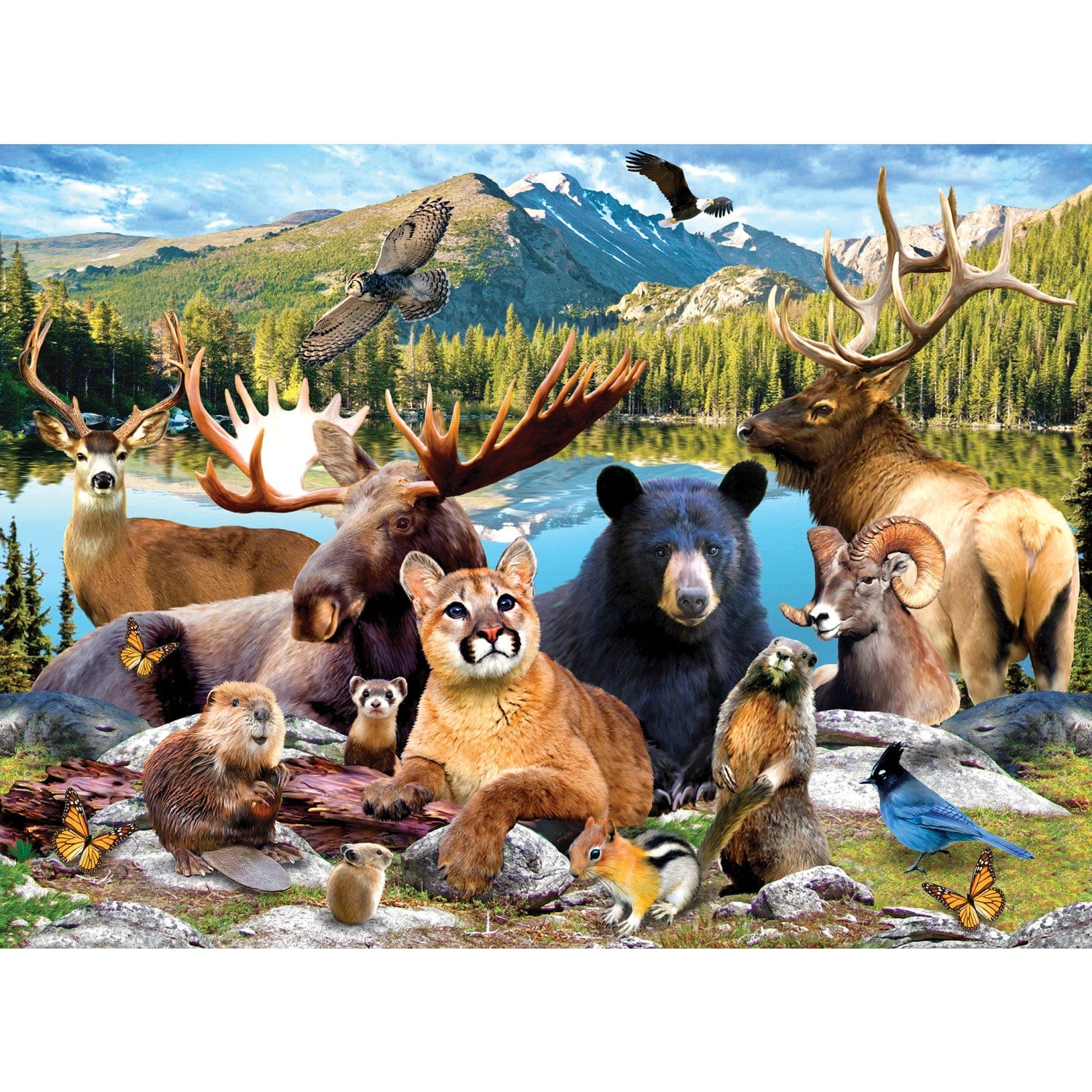 Wildlife of Rocky Mountain National Park - 100 Piece Jigsaw Puzzle - Image 2