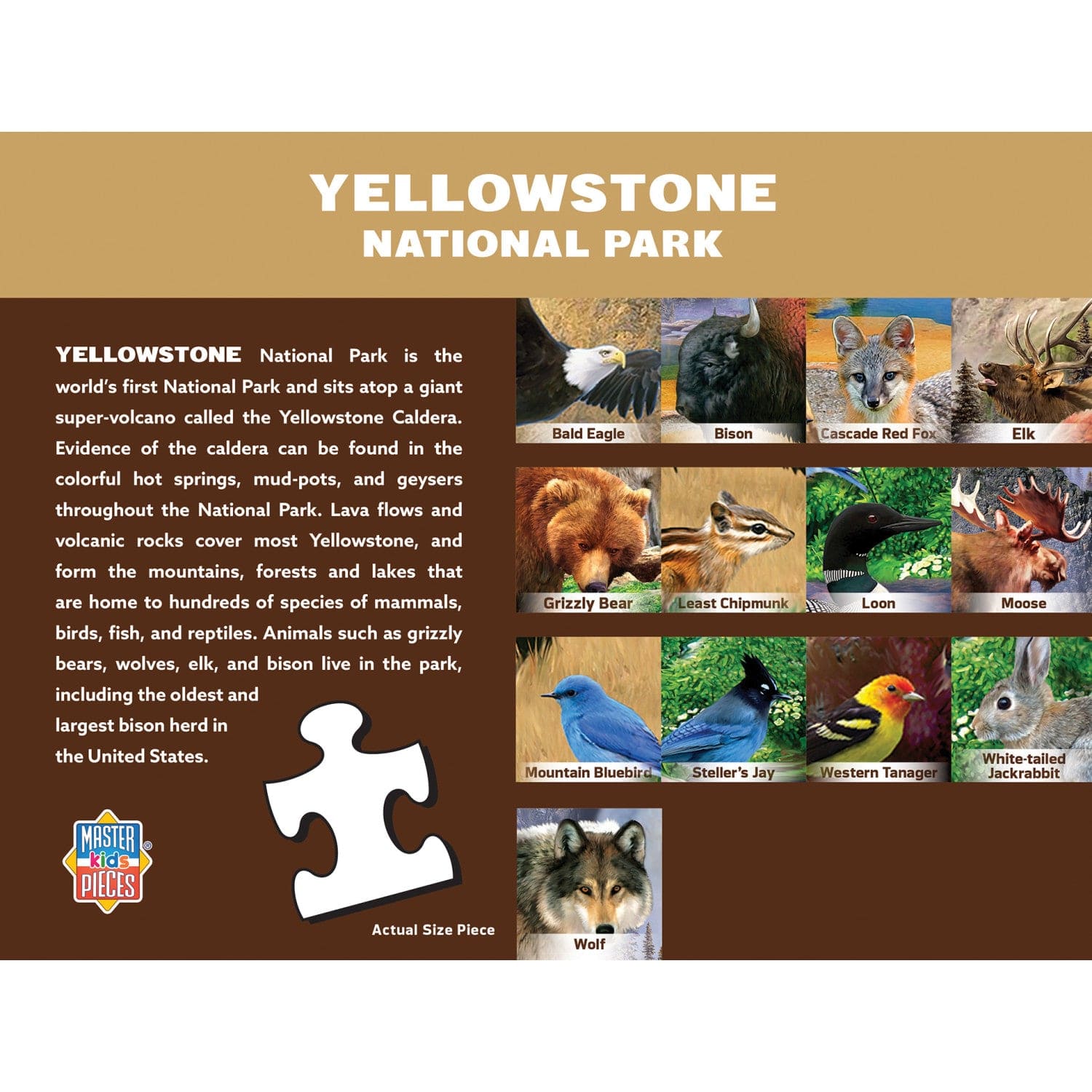 Wildlife of Yellowstone National Park - 100 Piece Jigsaw Puzzle - Image 3