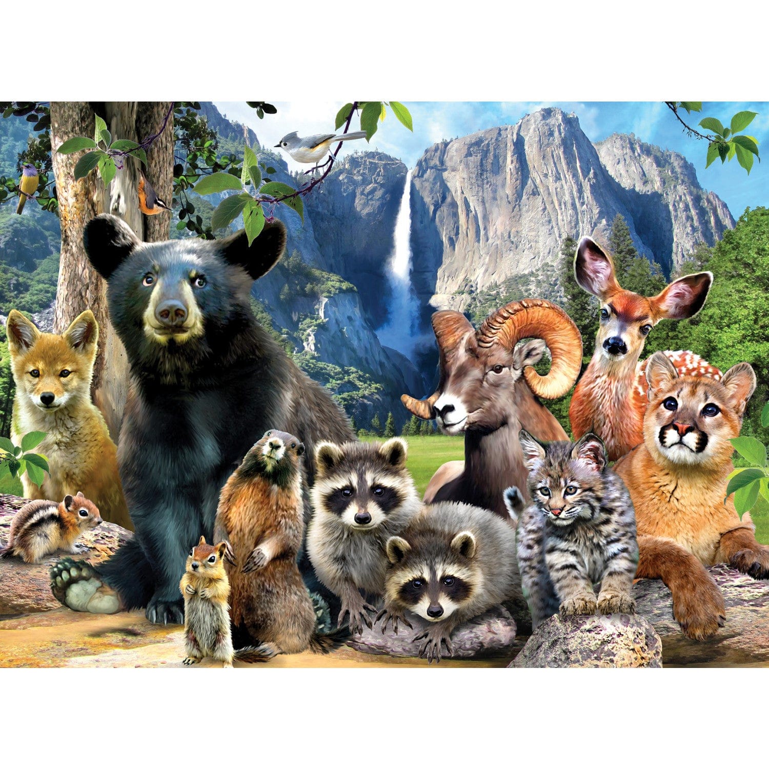 Wildlife of Yosemite National Park - 100 Piece Jigsaw Puzzle - Image 2