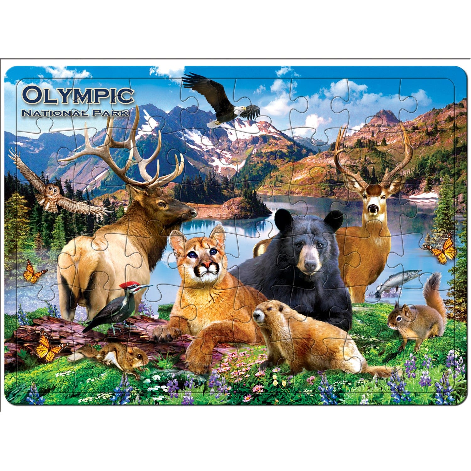 Olympic National Park 48 Piece Tray Puzzle - Image 2