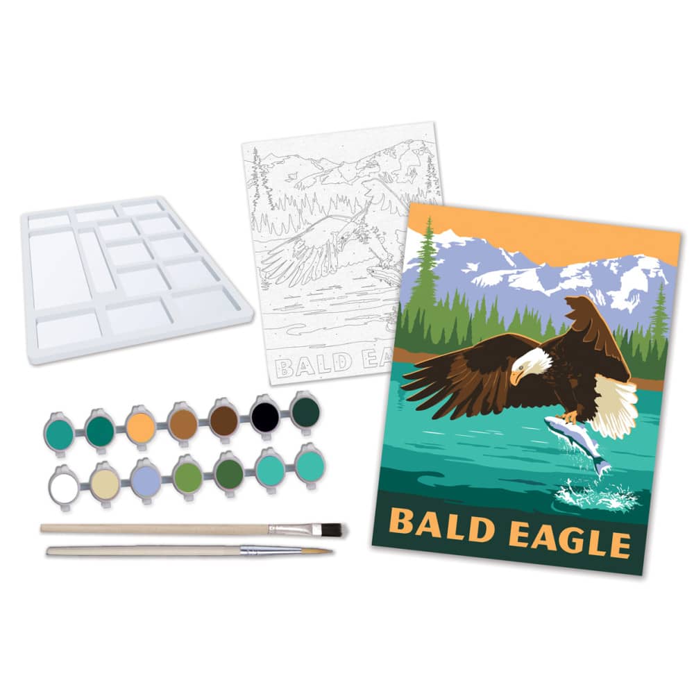 Eagle - Paint by Number - Image 2