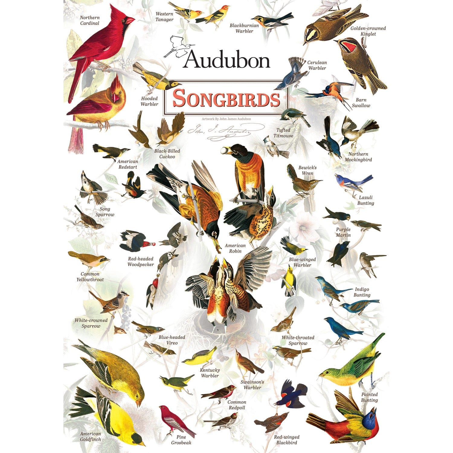 Audubon - Songbirds 1000 Piece Jigsaw Puzzle - Image 2