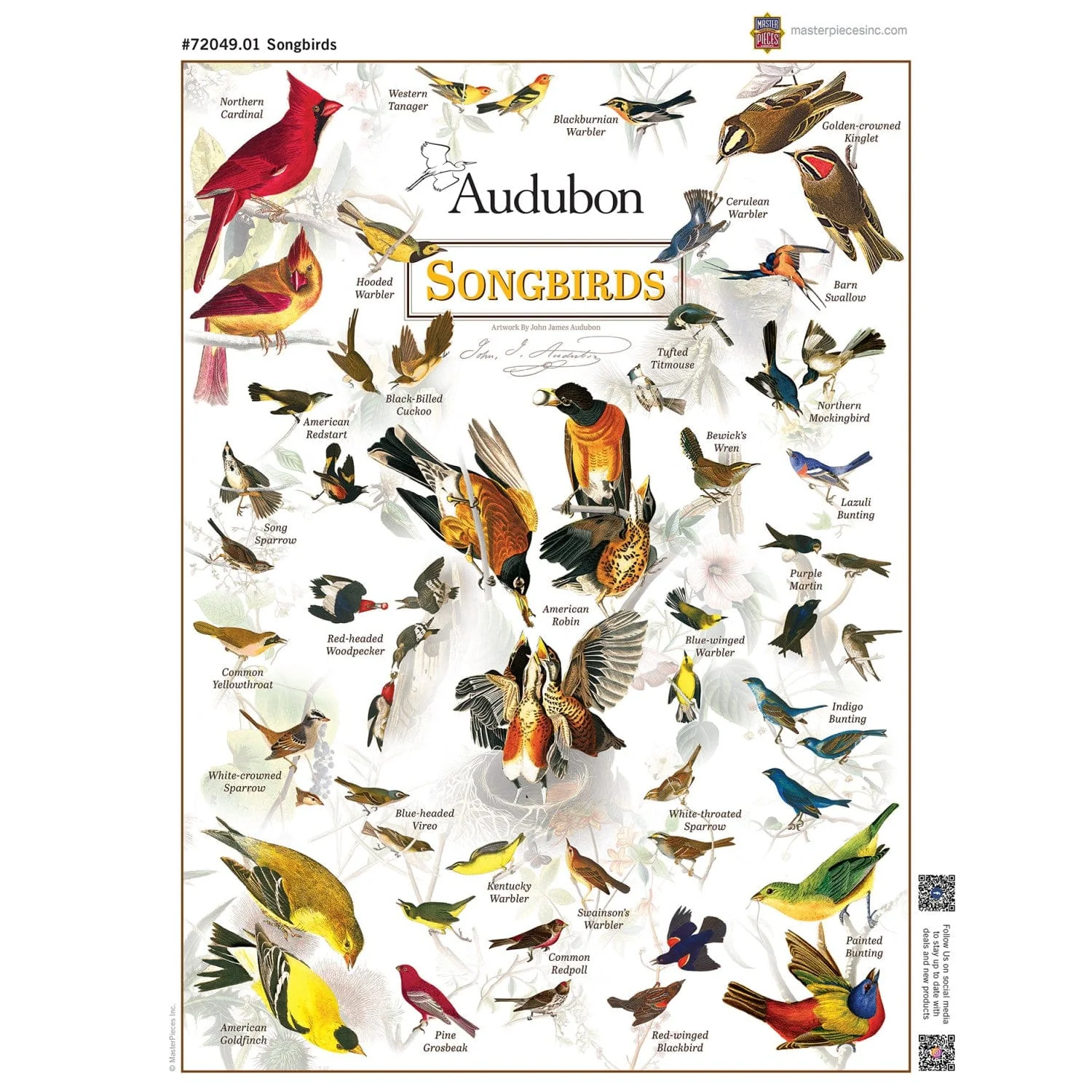 Audubon - Songbirds 1000 Piece Jigsaw Puzzle - Image 4
