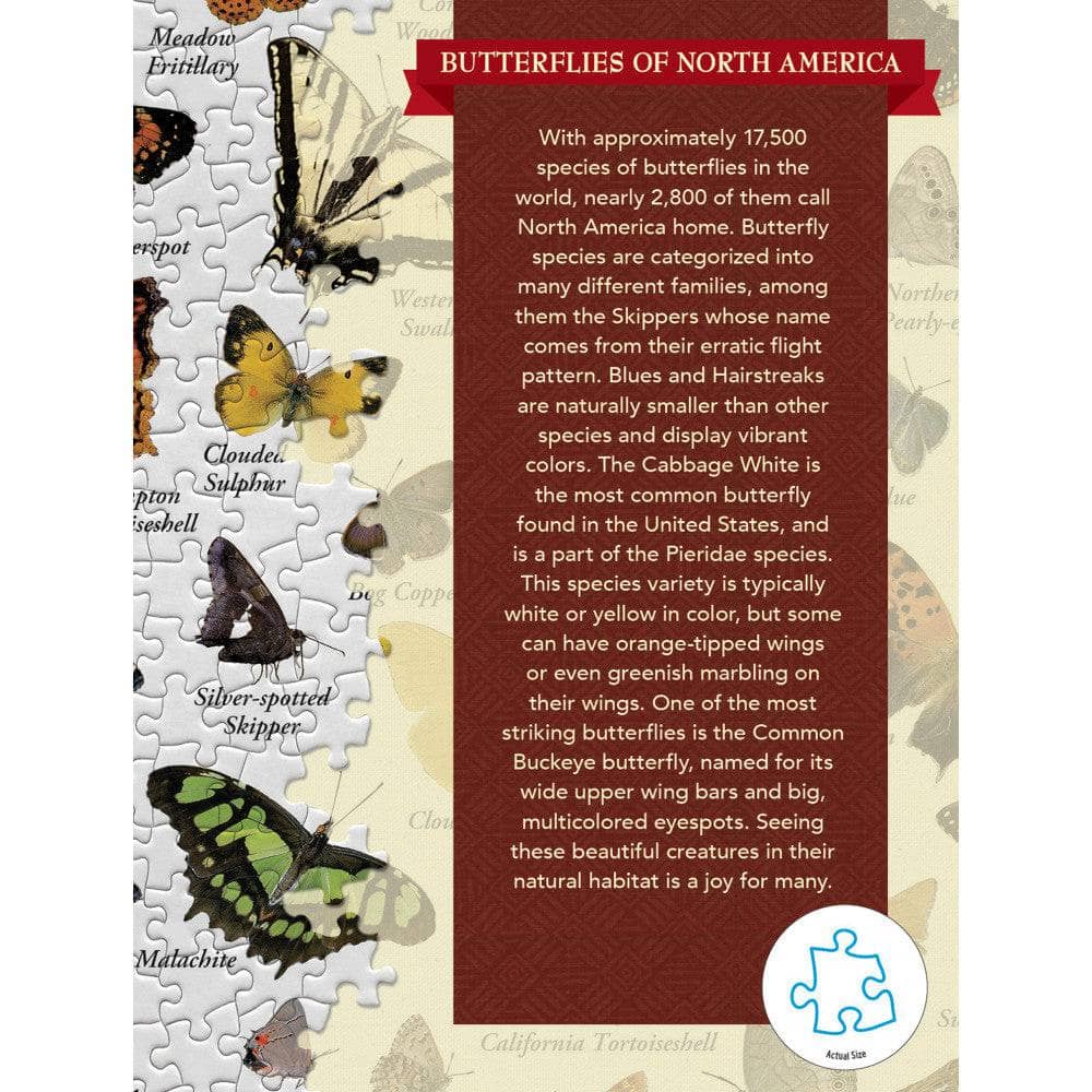 Butterflies of North America 1000 Piece Jigsaw Puzzle - Image 3
