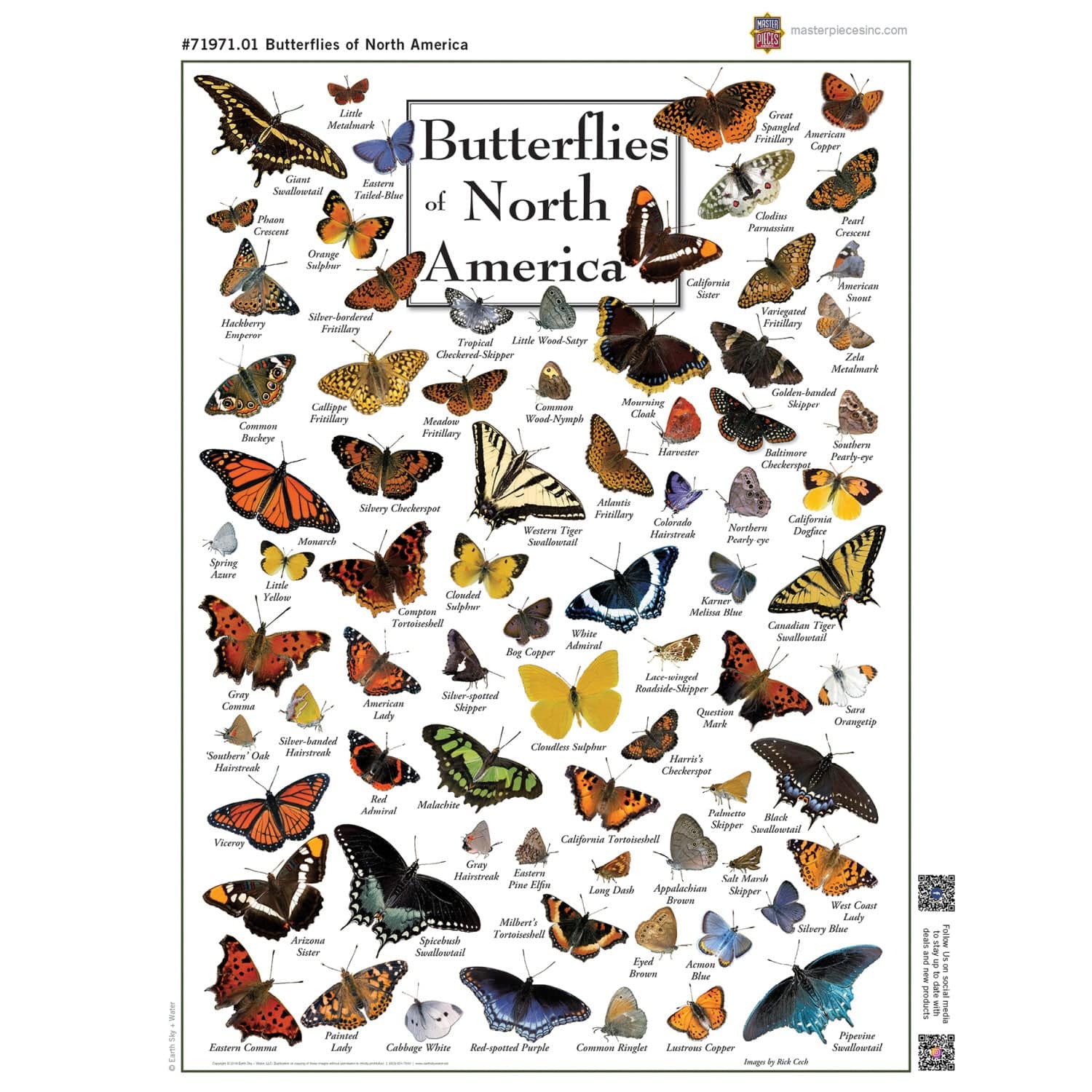 Butterflies of North America 1000 Piece Jigsaw Puzzle - Image 4