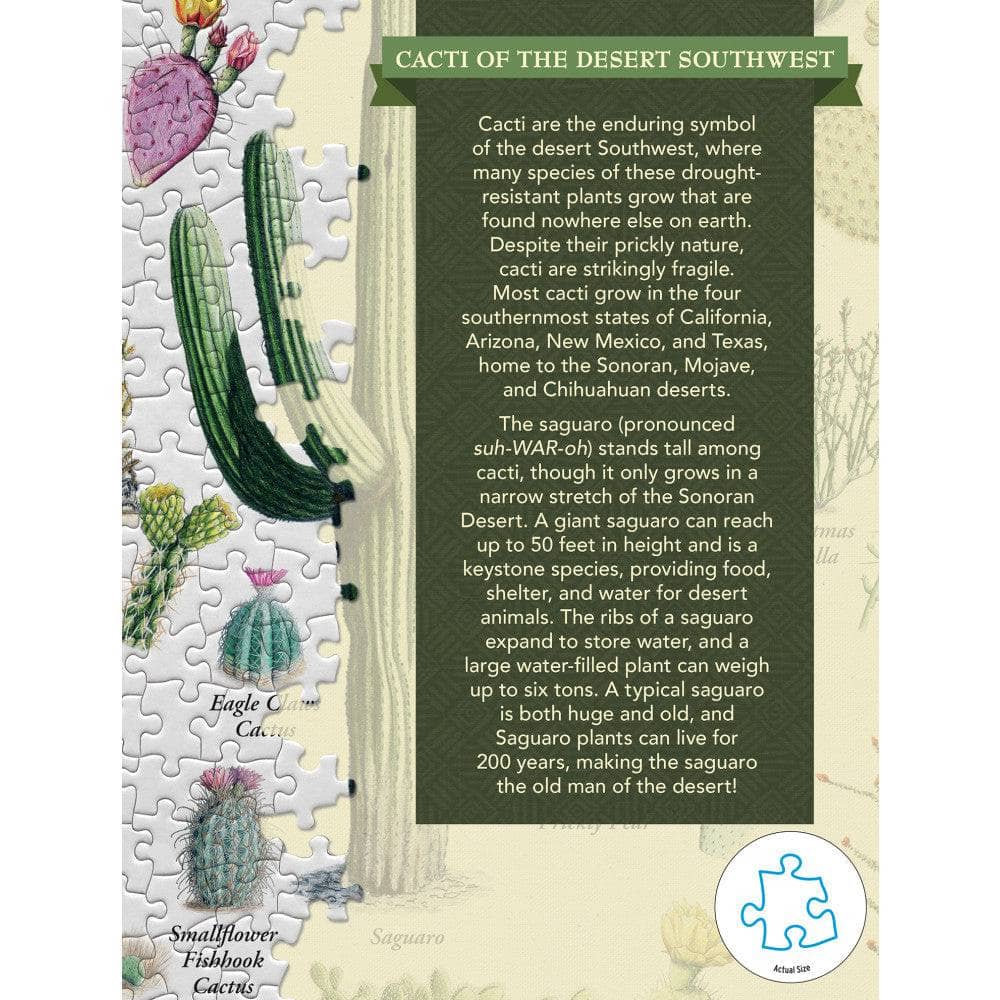 Cacti of the Desert Southwest 1000 Piece Jigsaw Puzzle - Image 3