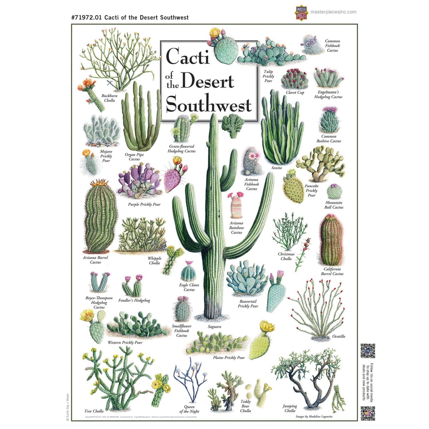 Cacti of the Desert Southwest 1000 Piece Jigsaw Puzzle - Image 4