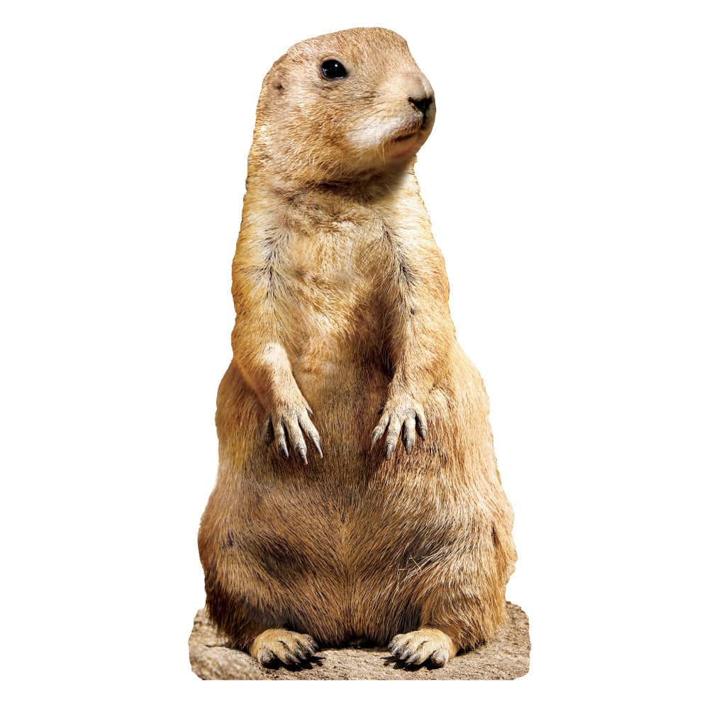 Prairie Dog 100 Piece Shaped Jigsaw Puzzle - Image 2