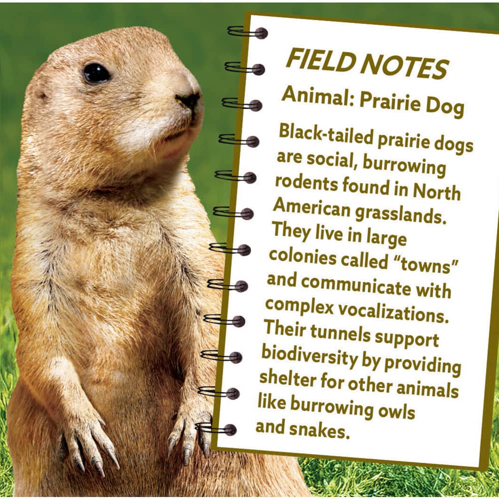 Prairie Dog 100 Piece Shaped Jigsaw Puzzle - Image 3
