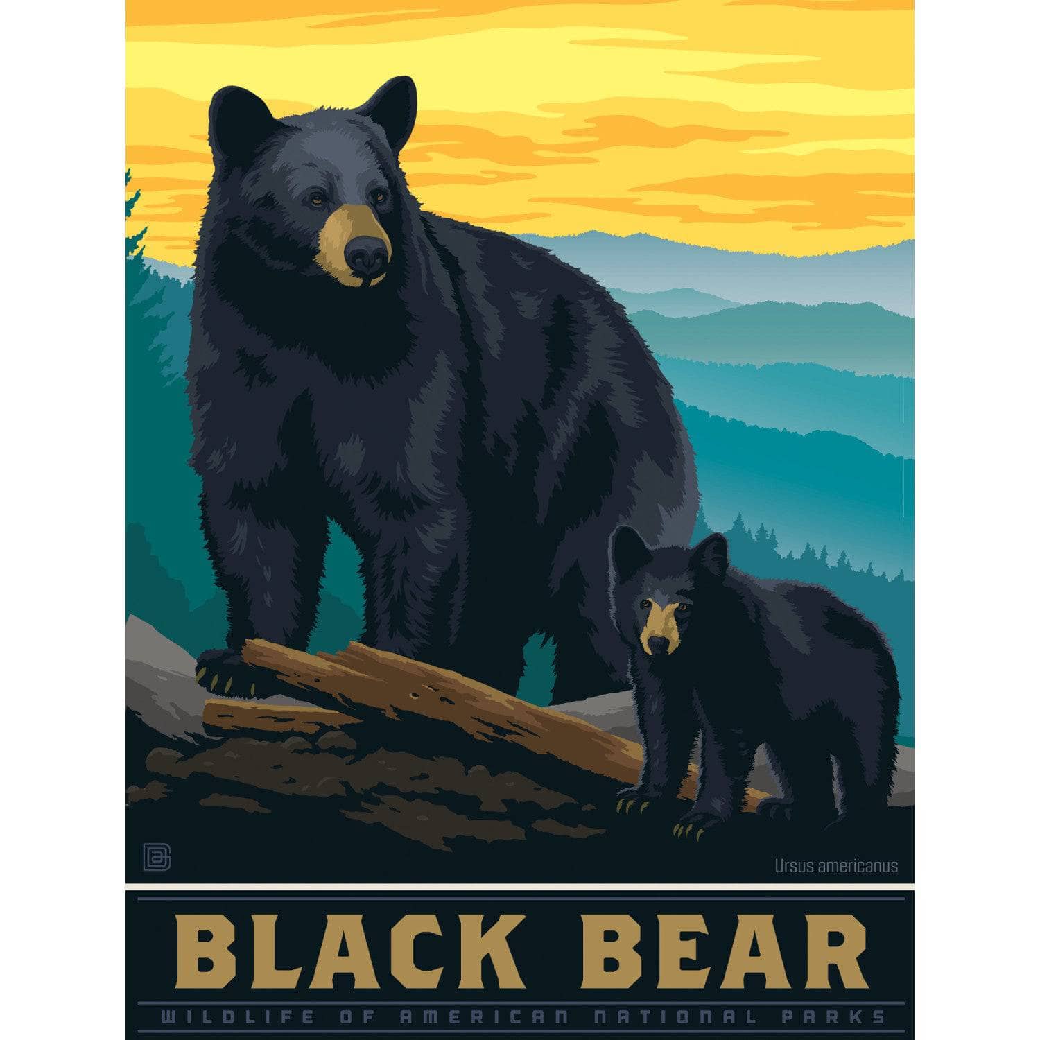 Black Bear 300 Piece Jigsaw Puzzle - Image 2