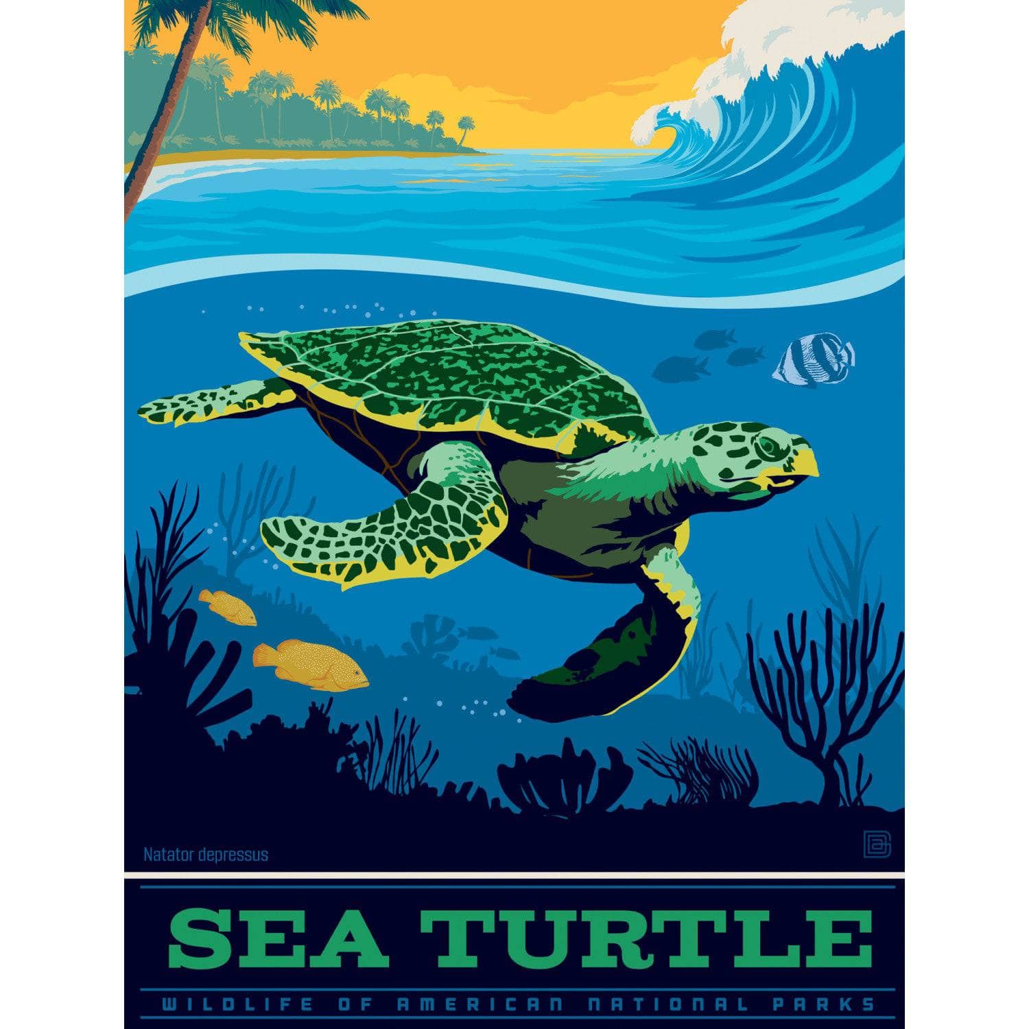 Sea Turtle 300 Piece Jigsaw Puzzle - Image 2