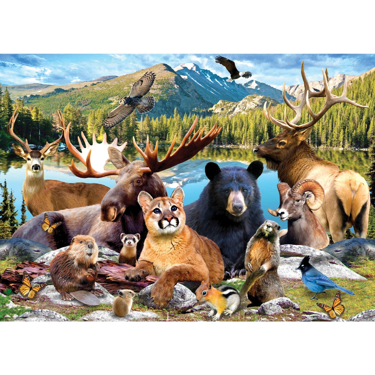 Rocky Mountain National Park 500 Piece Jigsaw Puzzle - Image 2