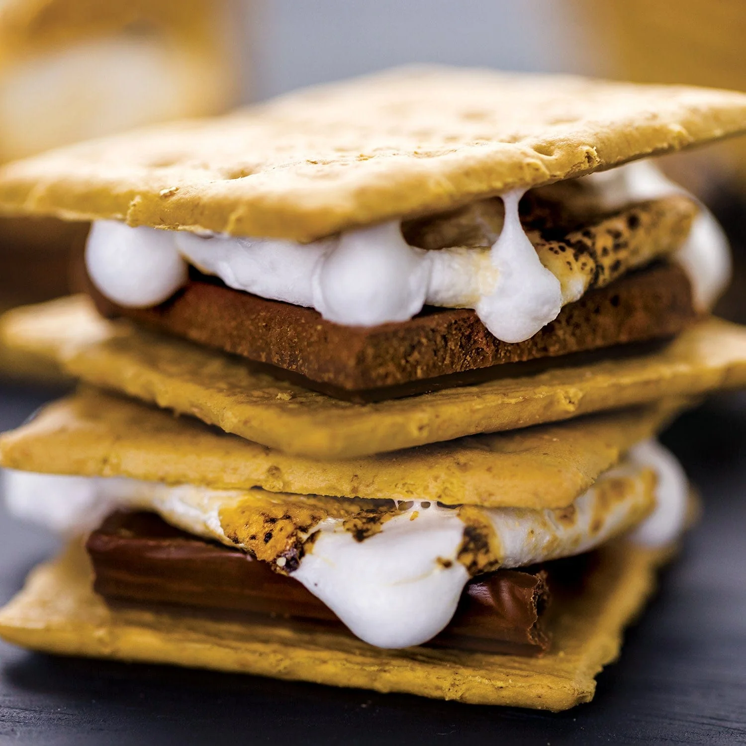 S'mores 100 Piece Jigsaw Puzzle - Image 2