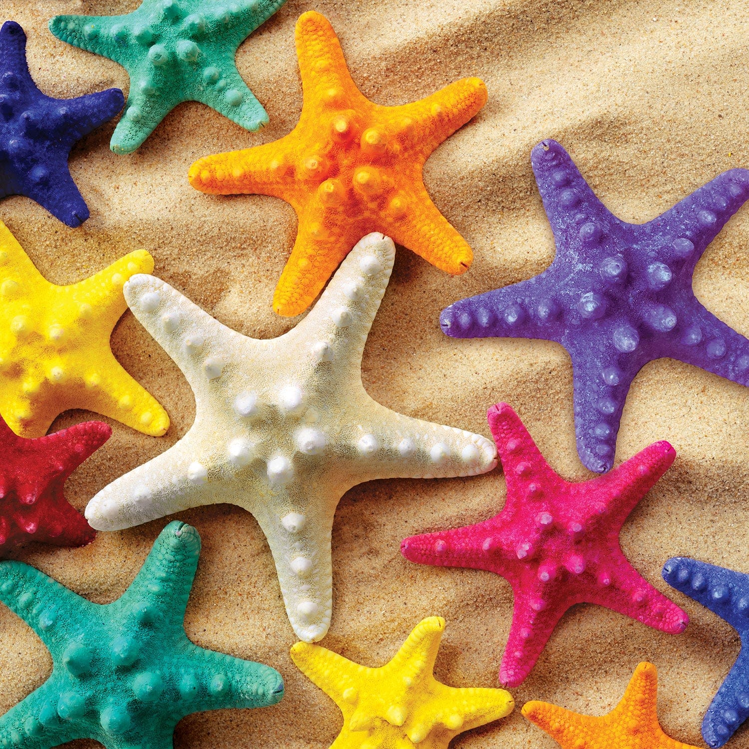 Starfish 100 Piece Jigsaw Puzzle - Image 2
