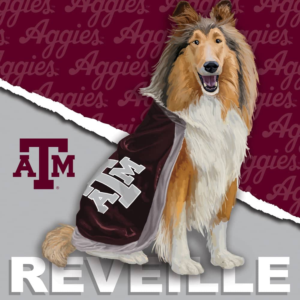 Texas A&M Aggies - NCAA Mascot 100 Piece Jigsaw Puzzle - Image 2