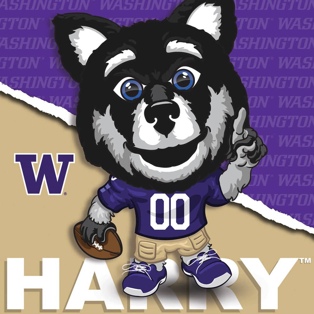 Washington Huskies - NCAA Mascot 100 Piece Jigsaw Puzzle - Image 2