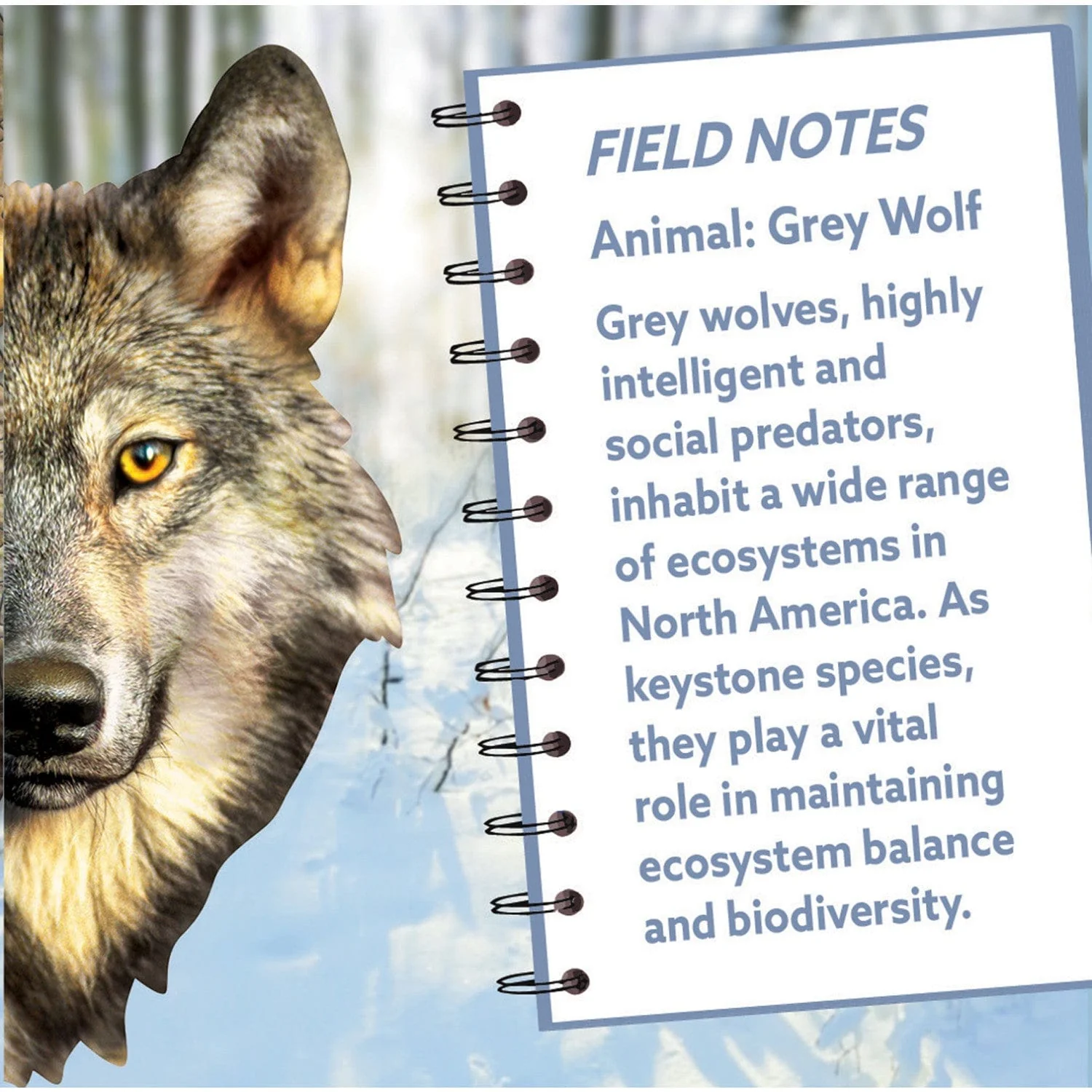 Wolf 100 Piece Shaped Jigsaw Puzzle - Image 3