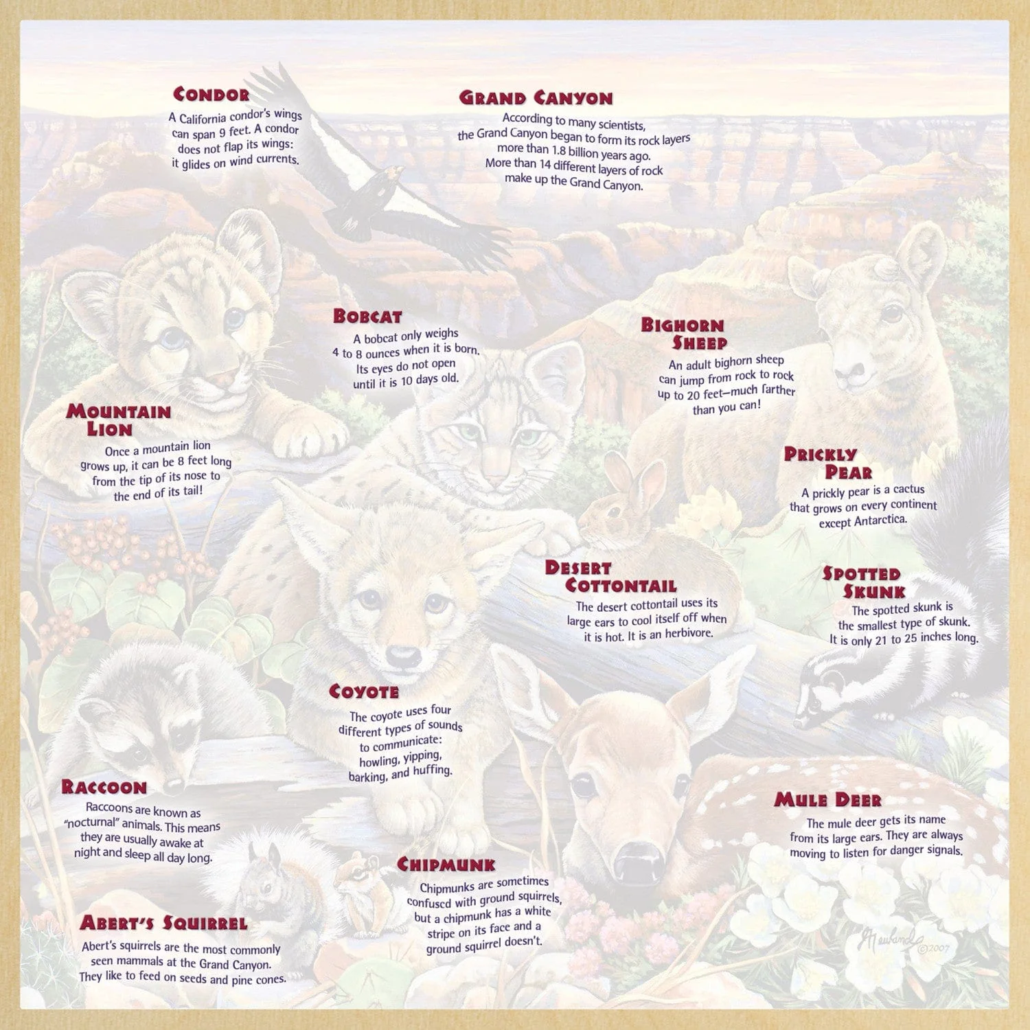 Jr. Ranger - Wildlife of the Grand Canyon 48 Piece Wood Jigsaw Puzzle - Image 4