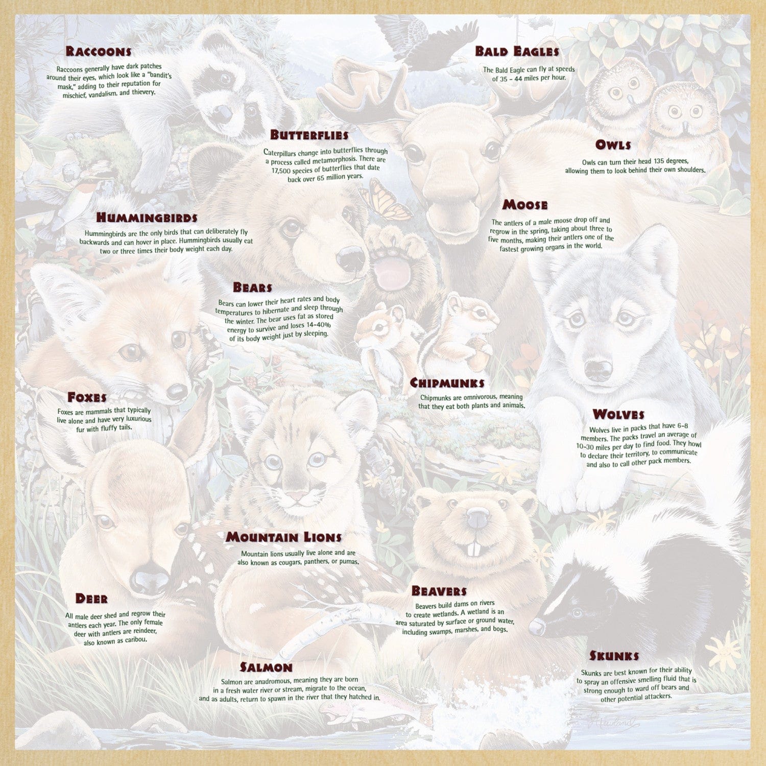 Wood Fun Facts - Forest Friends 48 Piece Wood Jigsaw Puzzle - Image 4
