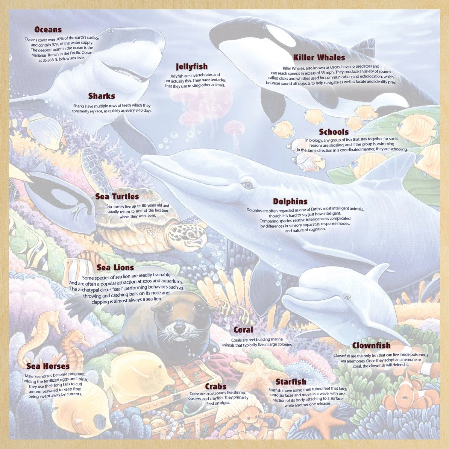 Wood Fun Facts - Undersea Friends 48 Piece Wood Jigsaw Puzzle - Image 4