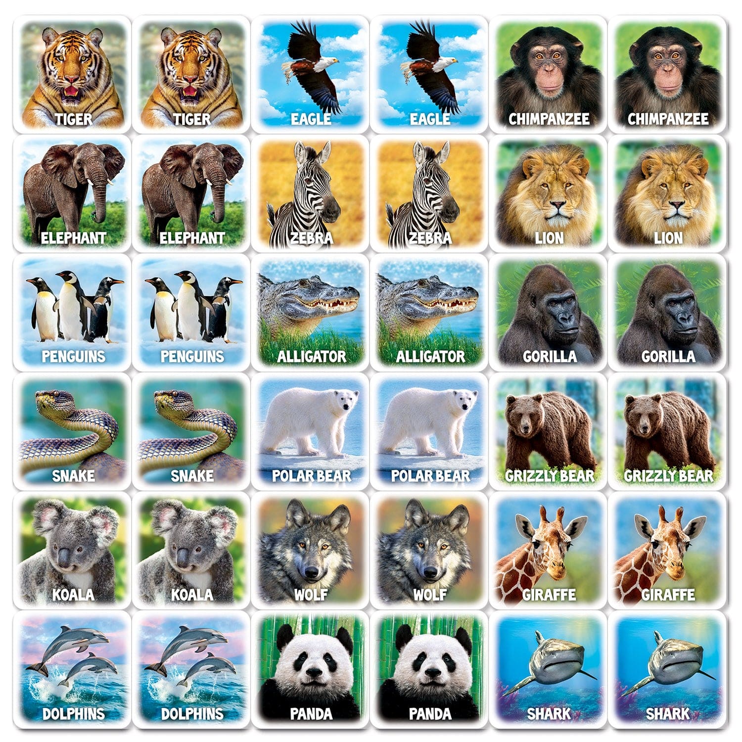 World of Animals Matching Game - Image 2